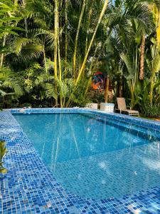 a large blue swimming pool with palm trees in the background at Casa ANTAHKARANA in Puerto Vallarta