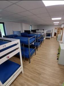 a row of blue chairs in a room at Albergue Vía Vitae in Otur
