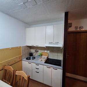 a kitchen with white cabinets and a sink at La Verena apartment Terme Čatež in Čatež ob Savi +6 photos