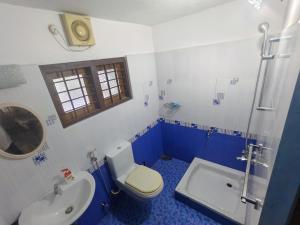 a blue and white bathroom with a toilet and a sink at VJ Riverfront Villa in Champakulam +19 photos