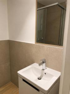 a bathroom with a white sink and a mirror at Our story Apartment in Milovići