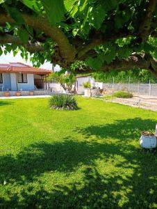 a yard with a tree and a house at Silver SPOT Raches in Kouvéla