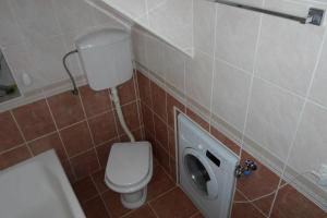 a bathroom with a toilet and a washing machine at Holiday Home Stone House in Perast +22 photos