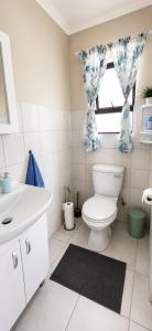 a bathroom with a toilet and a sink and a window at Honey Cove in Mossel Bay