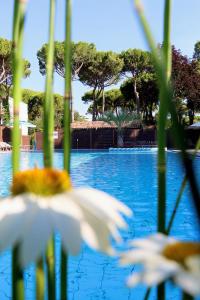 two white birds flying over a swimming pool at Harmonia Village in Lido di Jesolo