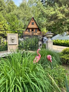 two pink flamingos in a garden in front of a house at The lion Bridge in Rogoźnik