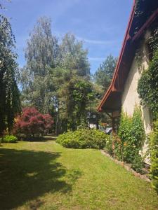 a yard next to a building with trees and plants at Wiesiówka nad Wkrą in Goławice