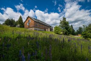 an old building on a hill with a field of purple flowers at Hotel Churáňov in Stachy