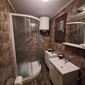 a bathroom with a shower and a toilet and a sink at La Verena apartment Terme Čatež in Čatež ob Savi