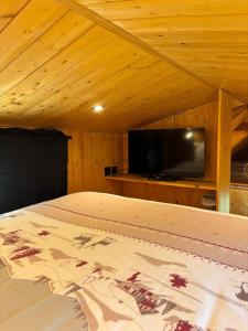 a bed in a room with a flat screen tv at Tiny house chalet montagnard in Arcizans-Dessus
