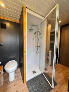 a bathroom with a shower and a toilet in it at Tiny house chalet montagnard in Arcizans-Dessus +13 photos