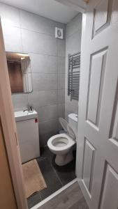 a bathroom with a white toilet and a sink at Cosy Condo near City & Airport in Dublin
