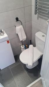 a bathroom with a white toilet and a sink at Cosy Condo near City & Airport in Dublin