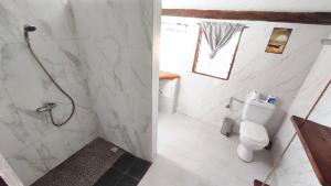 a bathroom with a shower and a toilet at Suarez Hotel in Antsiranana +22 photos