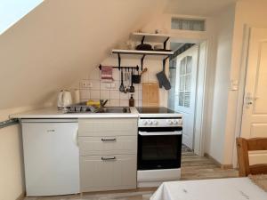 a kitchen with a stove and a sink at Apartmán Bílé Karpaty in Strání +5 photos