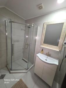 a bathroom with a shower and a sink at Pensiunea Daria Putna in Putna +35 photos