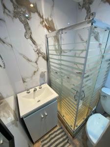 a bathroom with a shower and a sink and a toilet at Candil in Neuquén