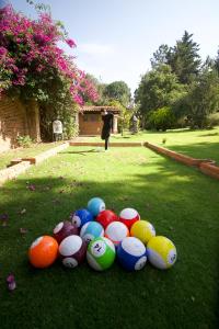 a pile of balls sitting on the grass at Lumbai Glamping Mazamitla in Mazamitla +27 photos