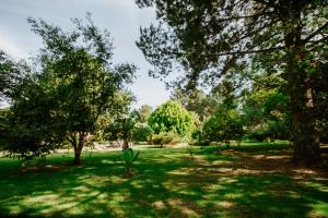 a park with trees and green grass at Lumbai Glamping Mazamitla in Mazamitla