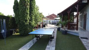 a ping pong table on a lawn in front of a house at Siófok apartman in Siófok