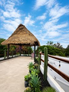 a pavilion with a straw umbrella and a cactus at Hotel Casa Xicun in Tepoztlán