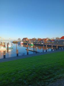 a marina with boats in the water at Heringsmoewe in Tossens