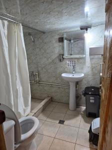 a bathroom with a toilet and a sink at Hotel Front Castle in Shatili