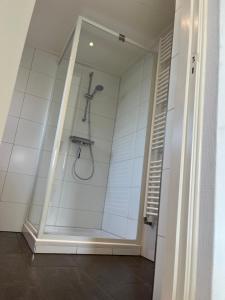eine Dusche mit Glastür im Badezimmer in der Unterkunft Brissago in Nes