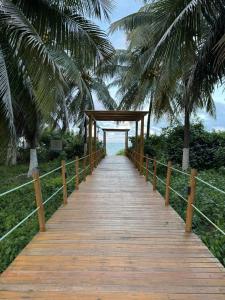a wooden boardwalk leading to a beach with palm trees at Studio Patacho Rota dos Milagres in Pôrto de Pedras