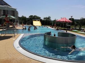 a group of people swimming in a swimming pool at Apartament Bieszczady in Lesko