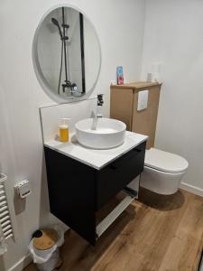 a bathroom with a sink and a mirror at Studio moderne en hyper-centre de Vendôme in Vendôme
