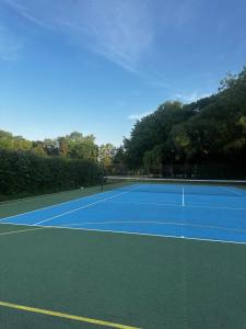 a blue tennis court with trees in the background at Tree Top & Bluebell Cottages in Grange Road Station