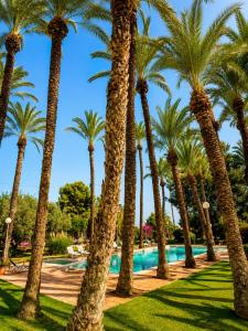 a row of palm trees near a swimming pool at Pink lemon Galmping in Elche