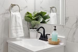 a bathroom sink with a plant and a mirror at Cozy Corner in East Stroudsburg +18 photos
