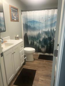 a bathroom with a toilet and a shower curtain at Thirty-Six Street Retreat in Missoula