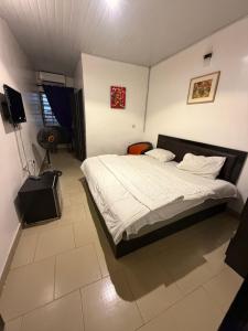a bedroom with a bed and a television in it at Epa's Place in Awoyaya +6 photos