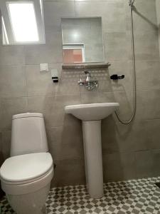 a bathroom with a toilet and a sink at Bakuriani Mtis 6 in Bakuriani