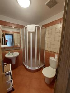 a bathroom with a shower and a toilet and a sink at Penzion Manský Dvůr in Dolní Žandov +77 photos
