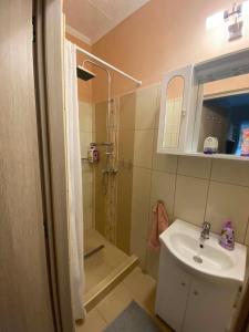 a bathroom with a sink and a shower at Purple Madame in Balatonszárszó