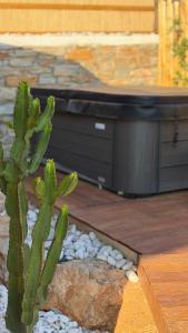 a green cactus sitting on top of a deck at Love Nest by taste of Antiparos in Antiparos