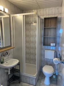 a bathroom with a shower and a toilet and a sink at Willa Lazur in Władysławowo +48 photos
