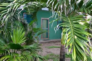 a green house with a palm tree in front of it at Beach-Front Bungalow in El Gigante +3 photos