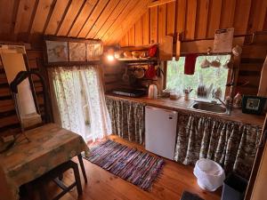 a kitchen with a sink and a counter top at Järvenukka Puhkemaja in Ähijärve +23 photos