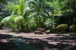 a park with palm trees and a table and benches at Beach-Front Bungalow in El Gigante