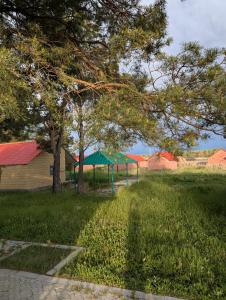 a field with trees and tents in the distance at Sevan Grass and Sky in Sevan