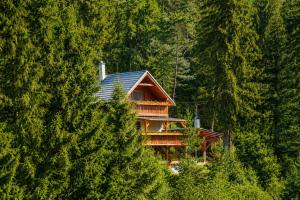 a house in the middle of a forest of trees at Norova chata in Závažná Poruba