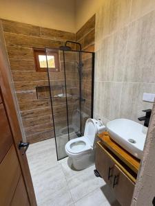 a bathroom with a shower and a toilet and a sink at Villa Pincho in Constanza +15 photos