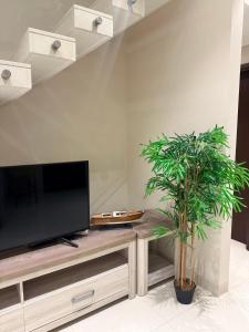 a living room with a tv and a potted plant at Zill Hawana in Ma‘mūrah