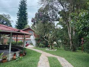 a garden with a house and a walkway at Touristic House Chalet Luna Verde in Sasaima