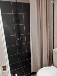 a bathroom with a shower with a toilet at Modern flat in town center! in Kiaton +13 photos